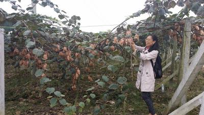 項(xiàng)目案例